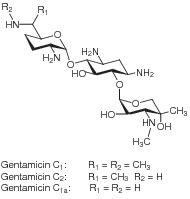 Gentamicin