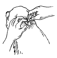 Image: import-4.jpg