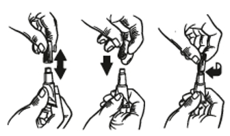 Image: import-3.jpg