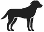 Image: import-1.jpg