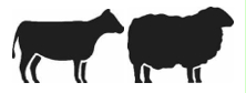 Image: import-1.jpg