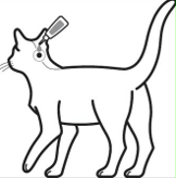 Image: import-3.jpg