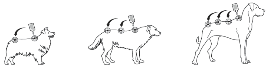 Et bilde som inneholder sketch, strektegning, tegning, strektegningerKI-generert innhold kan være feil.