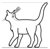Image: import-3.jpg