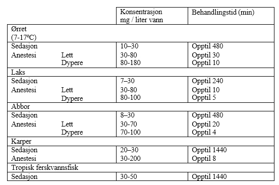Image: import-1.jpg