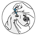 Image: import-2.jpg