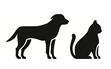 Image: import-1.jpg