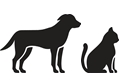 Image: import-2.jpg