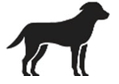 Image: import-1.jpg