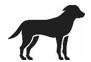 Image: import-1.jpg