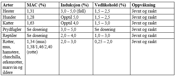 Image: import-1.jpg