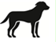 Image: import-1.jpg