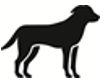 Image: import-1.jpg