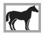 Image: import-1.jpg