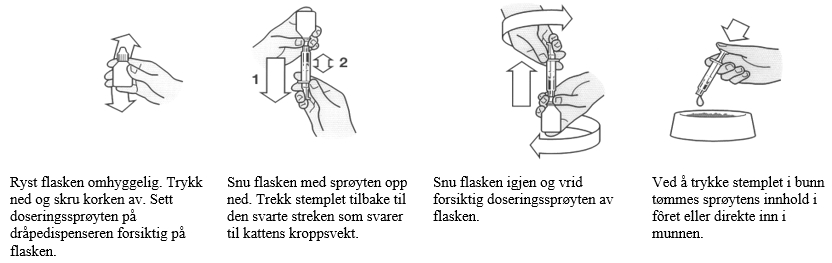 Image: import-1.jpg