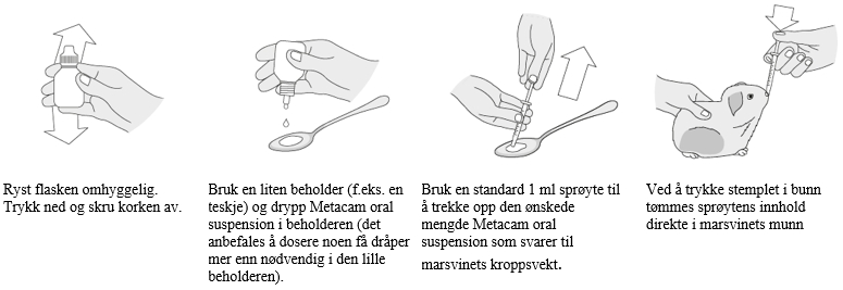 Image: import-2.jpg