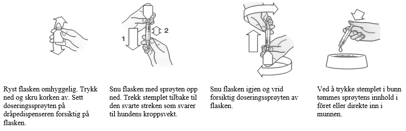 Image: import-1.jpg