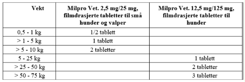 Image: import-3.jpg