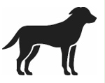 Image: import-1.jpg
