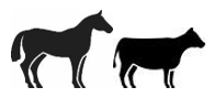 Image: import-1.jpg