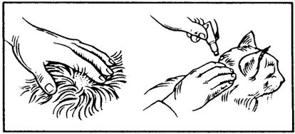 Et bilde som inneholder sketch, tegning, strektegning, strektegningerKI-generert innhold kan være feil.