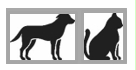 Image: import-1.jpg