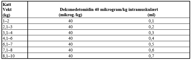 Et bilde som inneholder bordAutomatisk generert beskrivelse