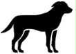 Image: import-1.jpg