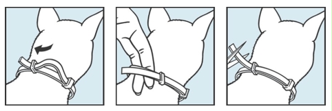 Image: import-1.jpg