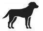Image: import-1.jpg