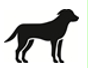 Image: import-1.jpg