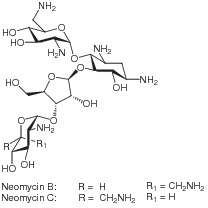Neomycin
