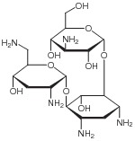Tobramycin